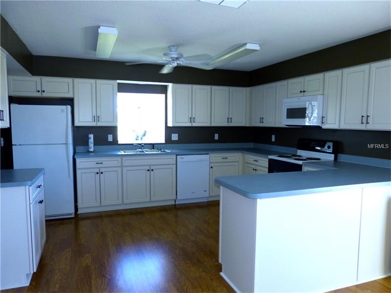 10245 MOSHIE LANE, San Antonio, FL 33576