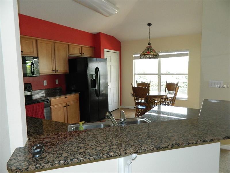 29220 COHARIE LOOP, San Antonio, FL 33576