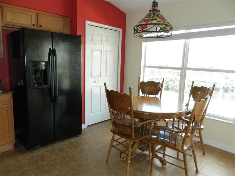 29220 COHARIE LOOP, San Antonio, FL 33576