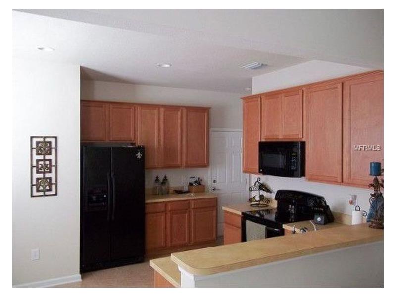 10132 POST HARVEST DRIVE, Riverview, FL 33578