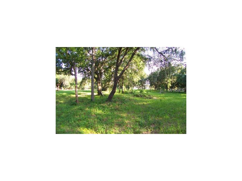 0 HACKNEY DRIVE, Riverview, FL 33578
