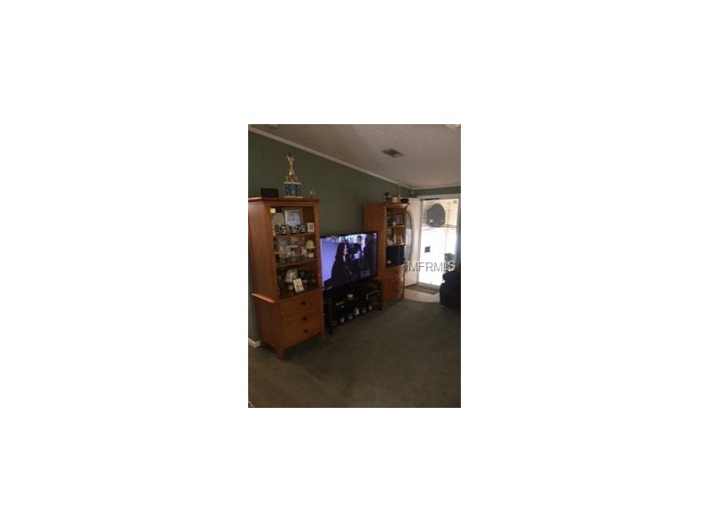 9415 STAR GAZER LANE, Riverview, FL 33578