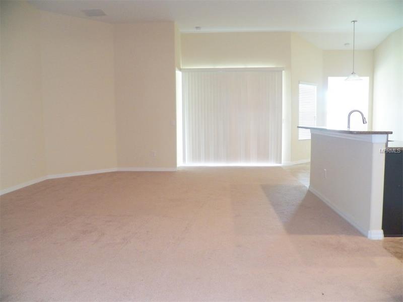 13909 WINDY KNOLL DRIVE, Riverview, FL 33579