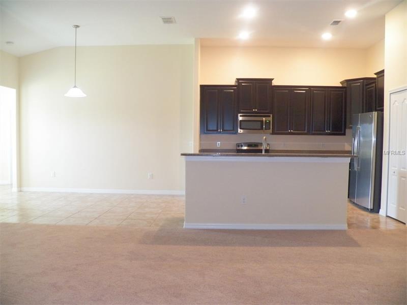 13909 WINDY KNOLL DRIVE, Riverview, FL 33579
