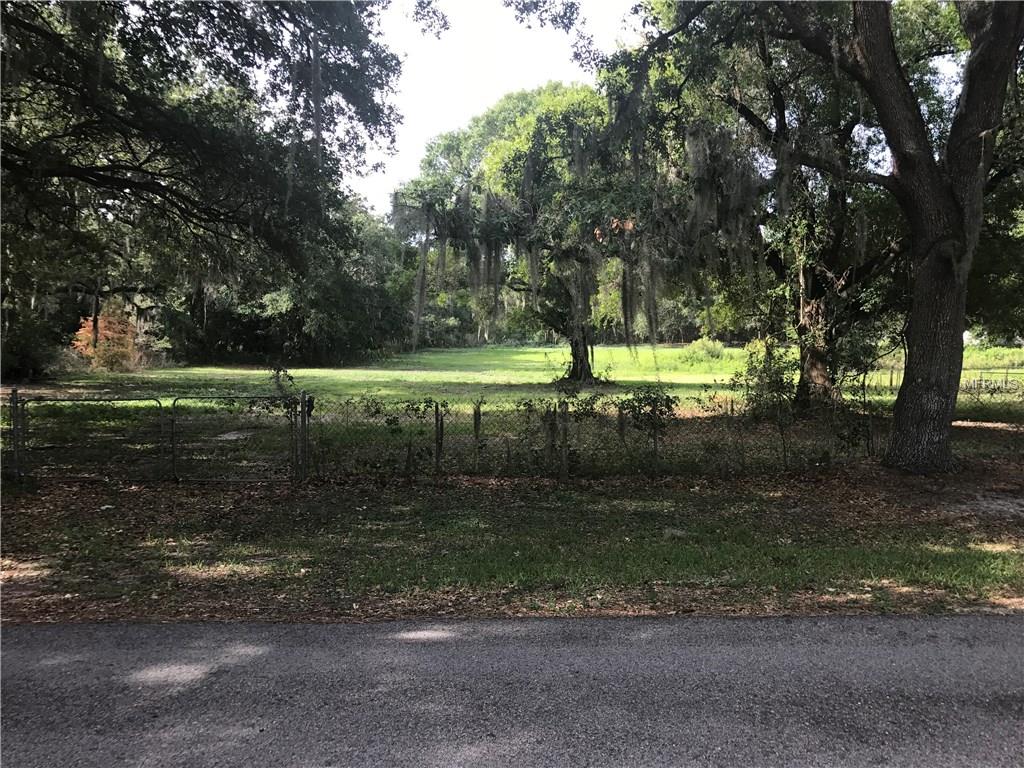 11209 Giddings St, Seffner, FL 33584