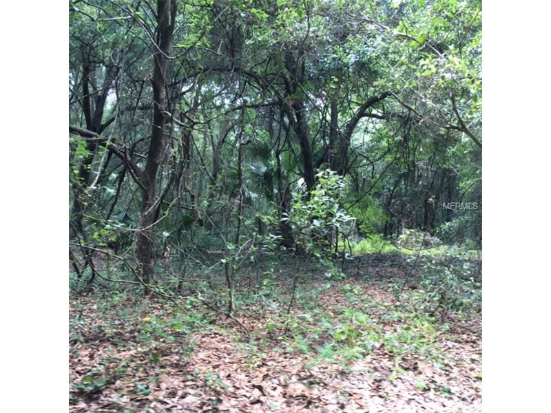 HAROLD DANGLER DRIVE, Seffner, FL 33584