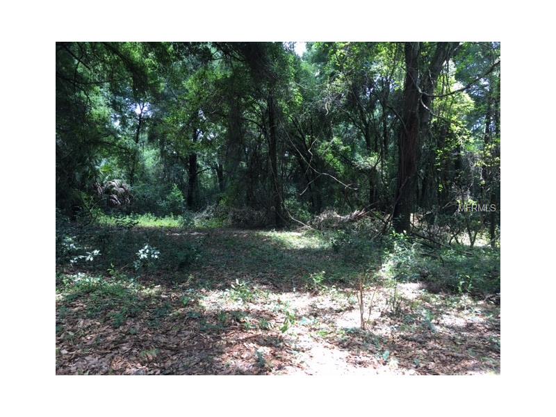 HAROLD DANGLER DRIVE, Seffner, FL 33584