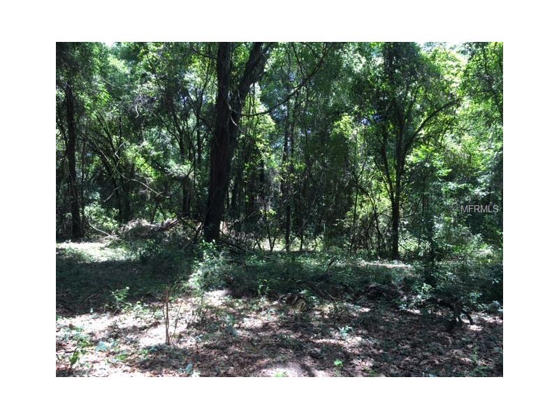HAROLD DANGLER DRIVE, Seffner, FL 33584