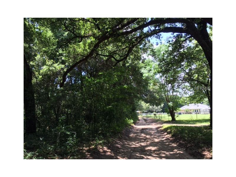 HAROLD DANGLER DRIVE, Seffner, FL 33584