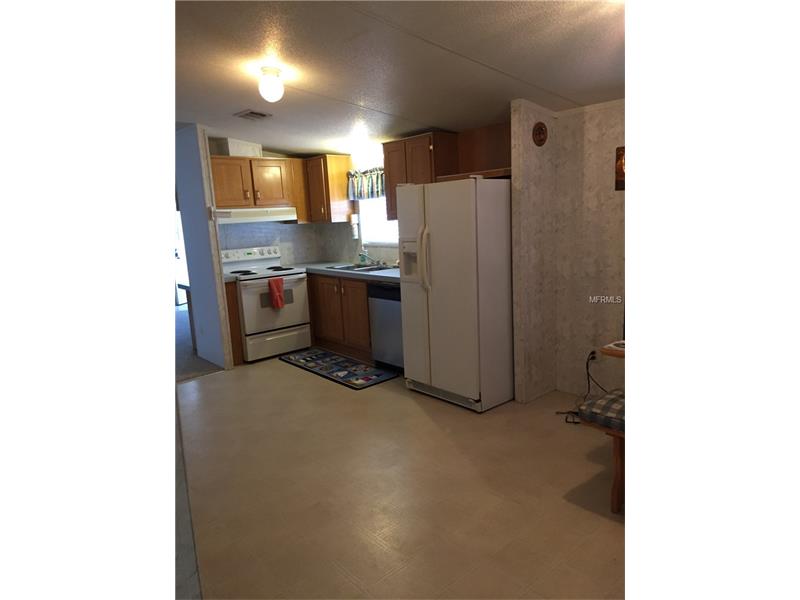 9909Ramshorn St, Thonotosassa, FL 33592