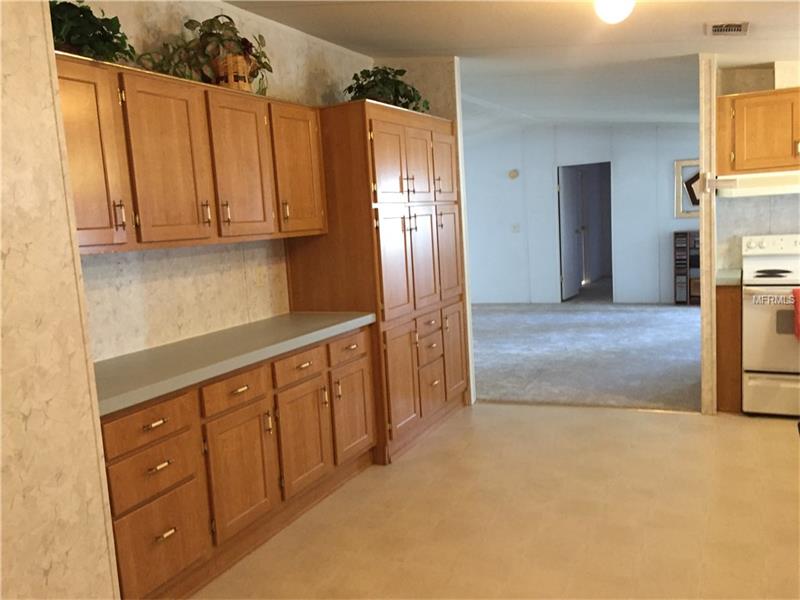9909Ramshorn St, Thonotosassa, FL 33592