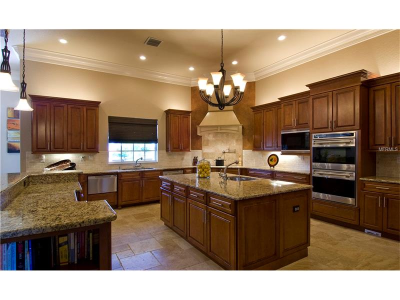 12253 BROADWATER LOOP, Thonotosassa, FL 33592