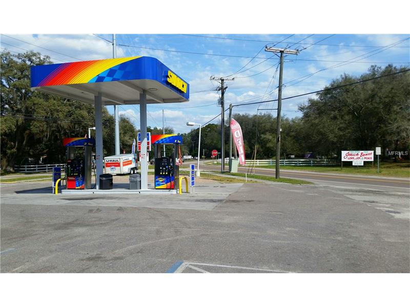 10228 HARNEY, Thonotsassa, FL 33592