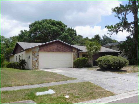 4002 Briarlake DrValrico, FL, 33596Hillsborough County