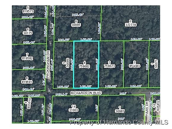 Ridge Manor, FL 33597