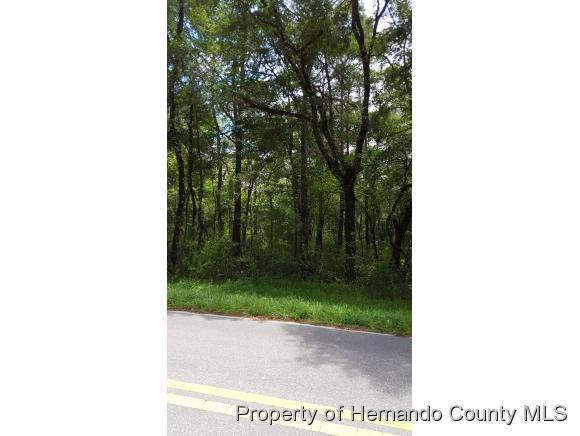 Ridge Manor, FL 33597