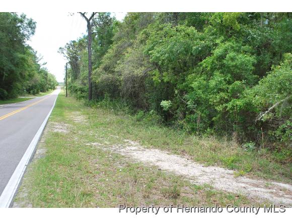0 MADONNA DR, Ridge Manor, FL 33597