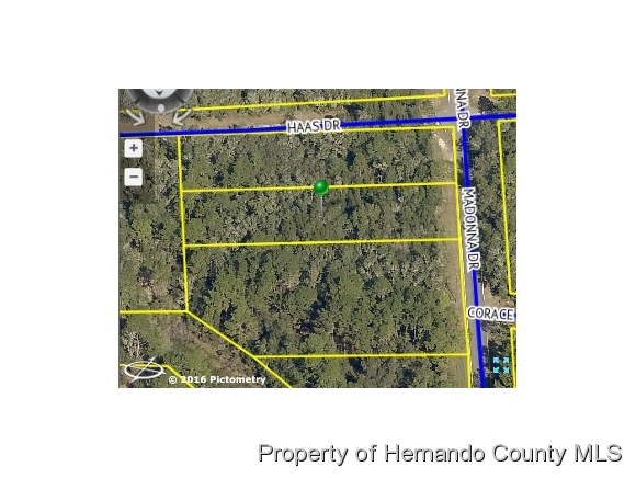 0 MADONNA DR, Ridge Manor, FL 33597