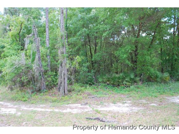 0 HAAS DR, Ridge Manor, FL 33597