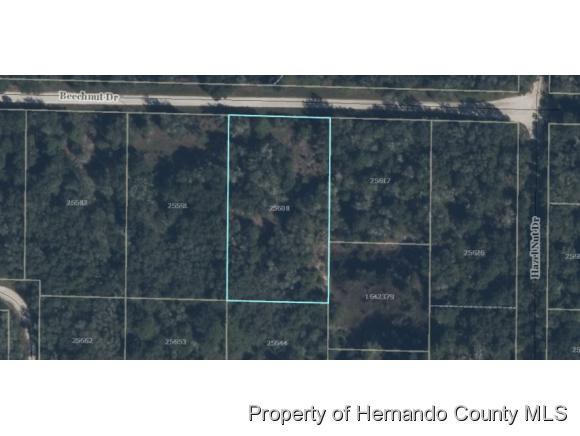 0 BEECHNUT DR, Ridge Manor, FL 33597