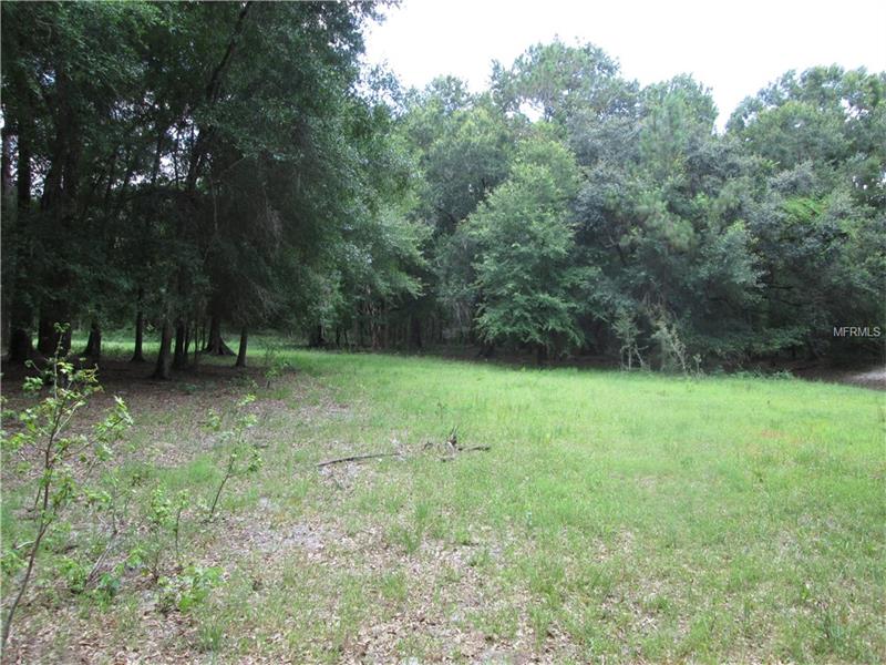 COUNTY ROAD 719, Webster, FL 33597