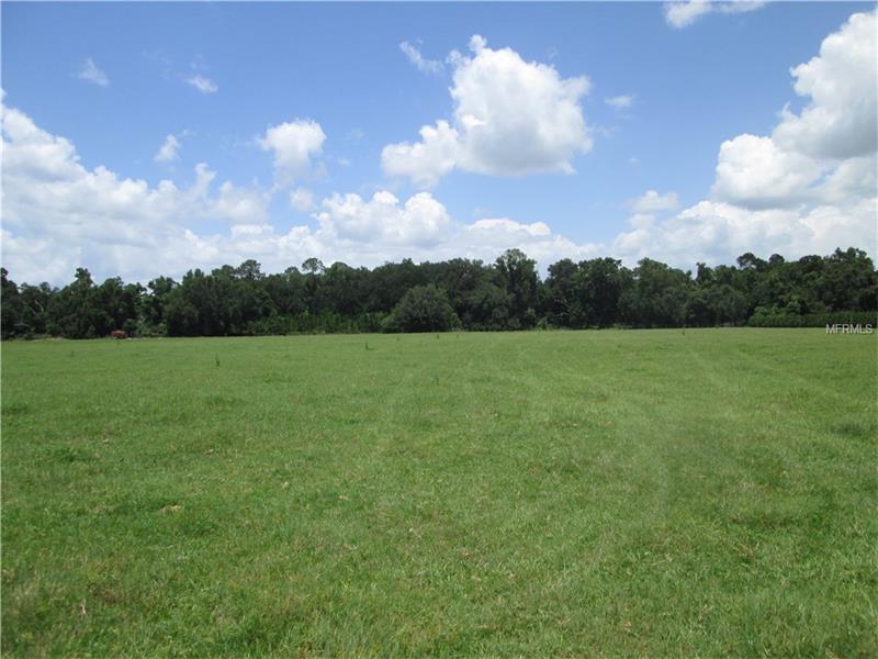 COUNTY ROAD 719, Webster, FL 33597