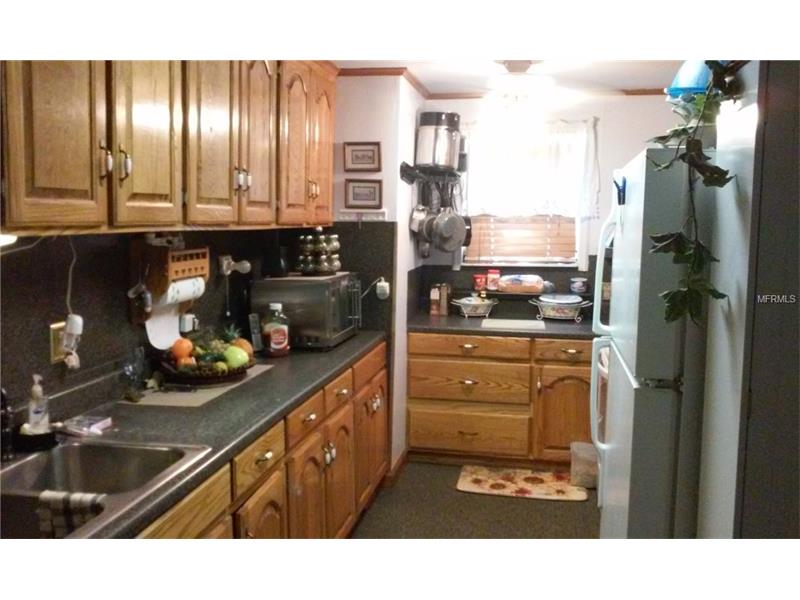 12094 CR 681, Webster, FL 33597