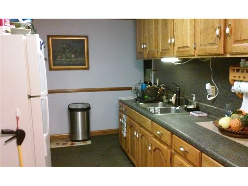 12094 CR 681, Webster, FL 33597