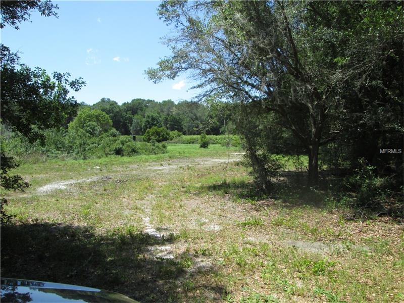 COUNTY ROAD 738E, Webster, FL 33597