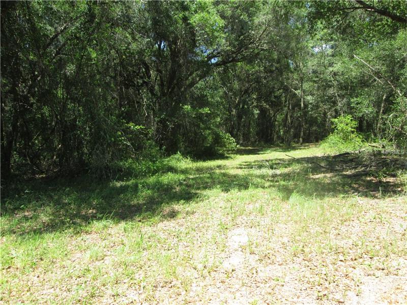 COUNTY ROAD 738E, Webster, FL 33597
