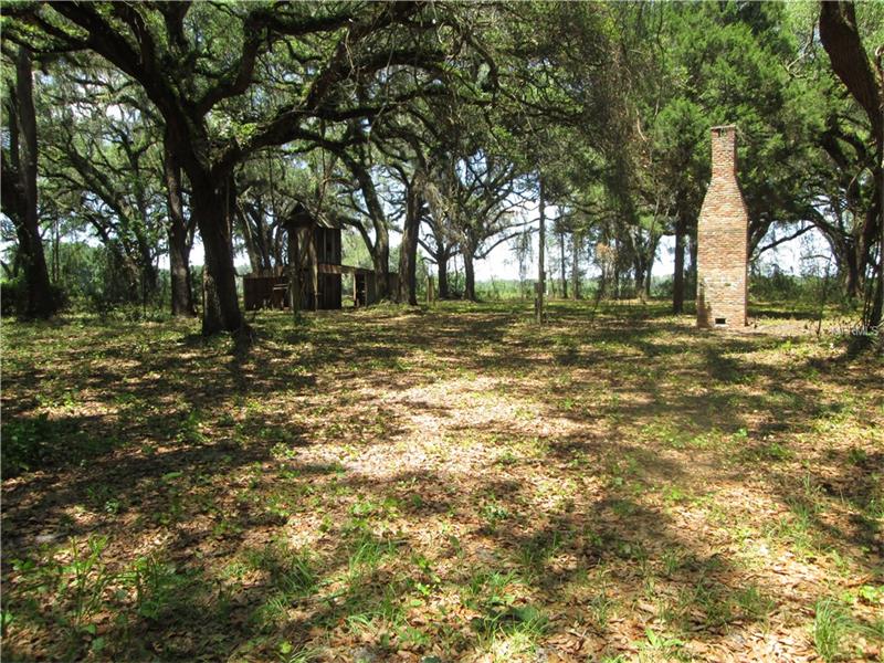 COUNTY ROAD 738E, Webster, FL 33597