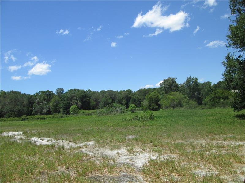 COUNTY ROAD 738E, Webster, FL 33597
