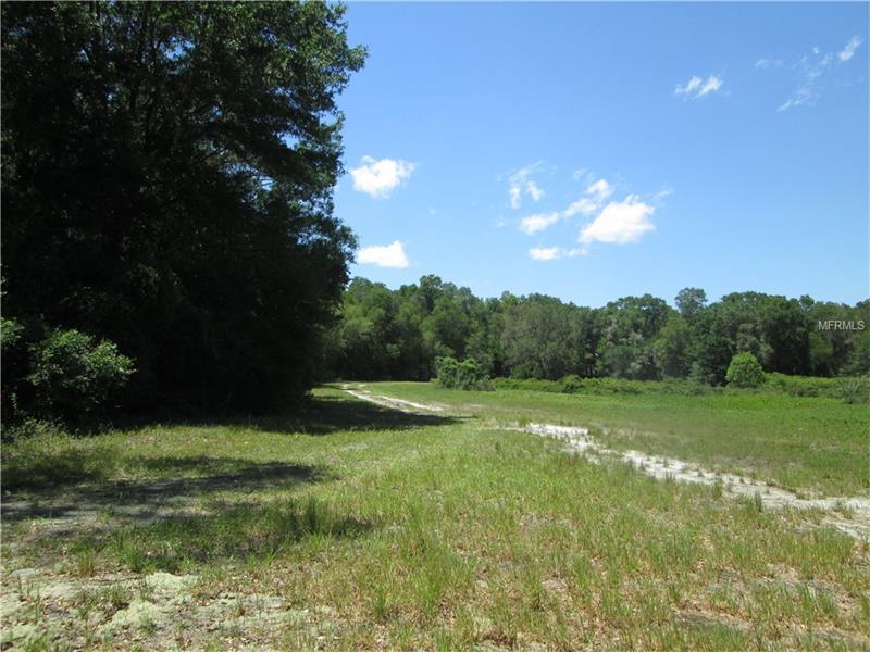 COUNTY ROAD 738E, Webster, FL 33597