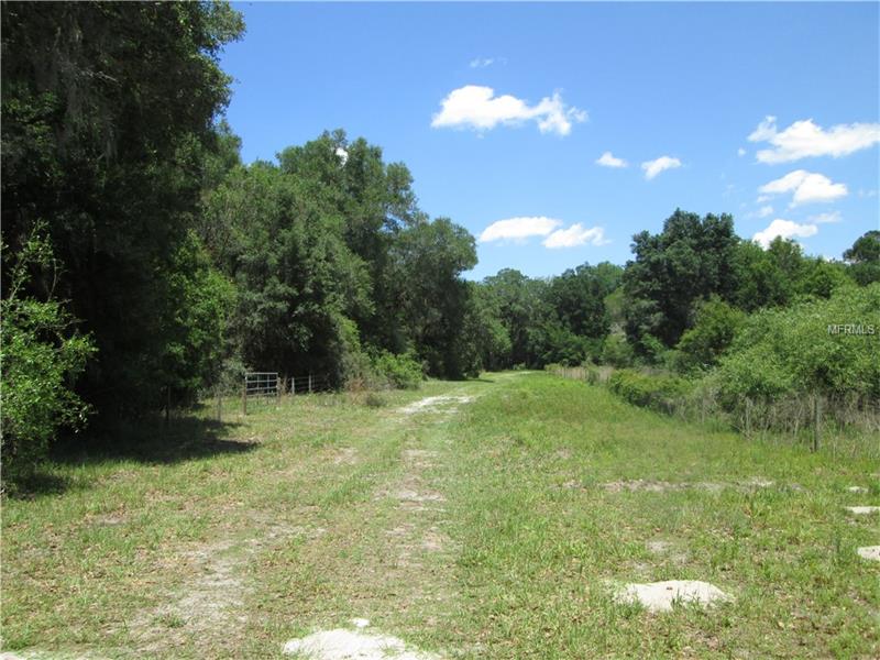 COUNTY ROAD 738E, Webster, FL 33597