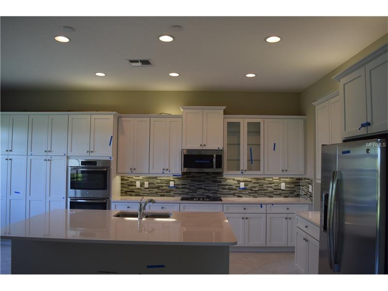 16041 CAPE CORAL DRIVE, Wimauma, FL 33598