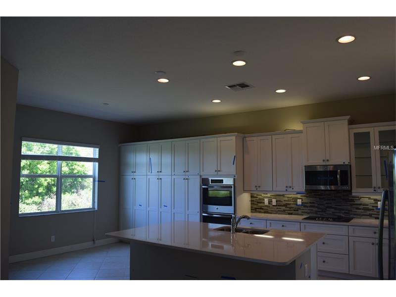16041 CAPE CORAL DRIVE, Wimauma, FL 33598
