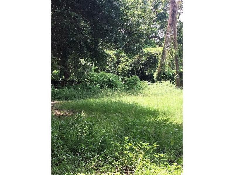 307 E ADALEE STREET, Tampa, FL 33603