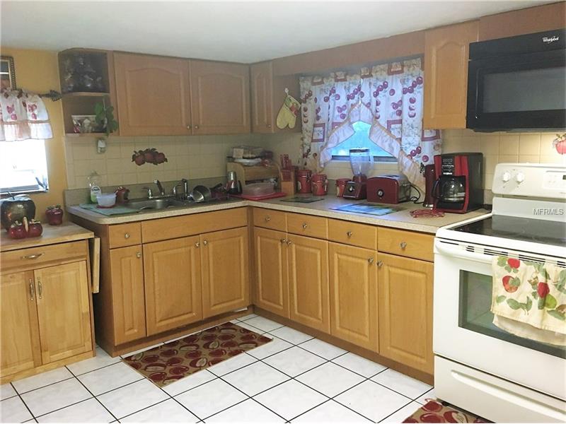 113 W WILDER AVENUE, Tampa, FL 33603