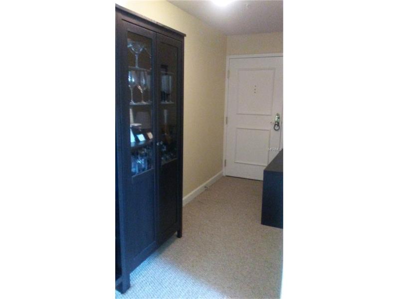 345 BAYSHORE BOULEVARD, Tampa, FL 33606