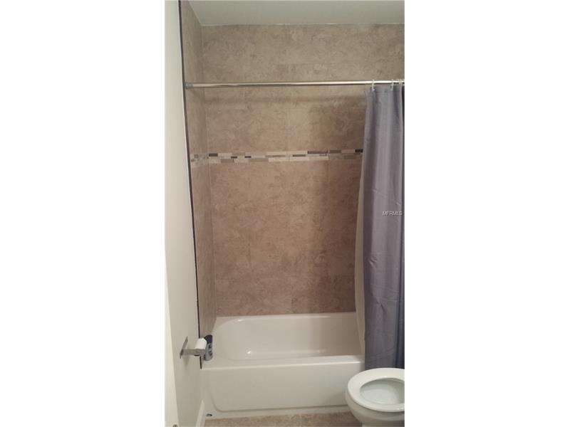 3623 W CARMEN STREET, Tampa, FL 33609