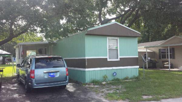 Paradise Village 4509 Green Palm Ln.Tampa, FL 33610