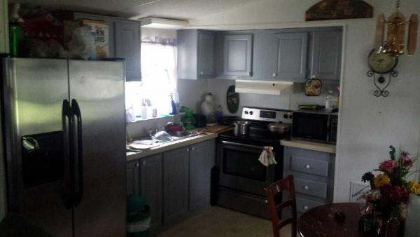 Paradise Village 4509 Green Palm Ln.Tampa, FL 33610