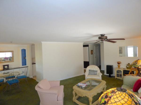 1147 Crimson Wood Lane ,FL, Tampa, 33613