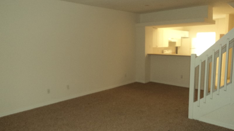 4339 Har Paul Circle, Tampa, FL 33614