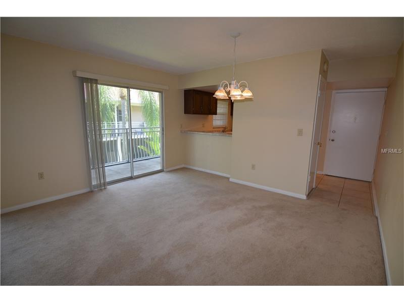8811 BAY POINTE DRIVE, Tampa, FL 33615