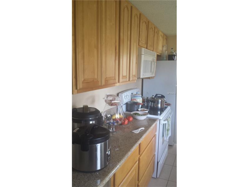 9202 E DALWOOD COURT, Tampa, FL 33615