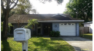 9412 N ConnechusettTampa, FL, 33617Hillsborough County