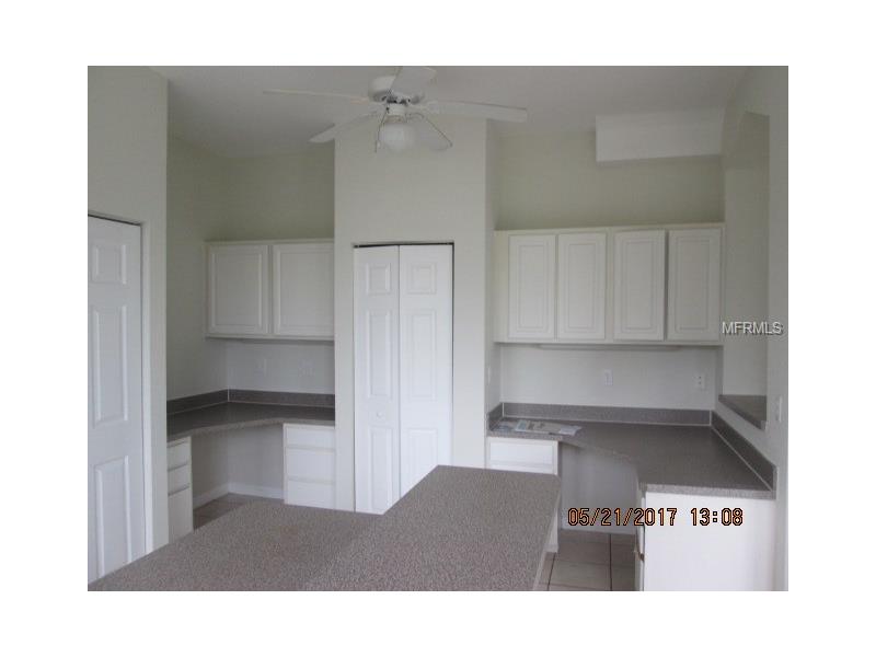 5035 SUNRIDGE PALMS DRIVE, Tampa, FL 33617