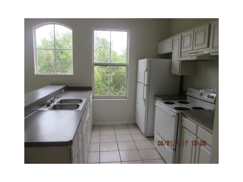 5035 SUNRIDGE PALMS DRIVE, Tampa, FL 33617
