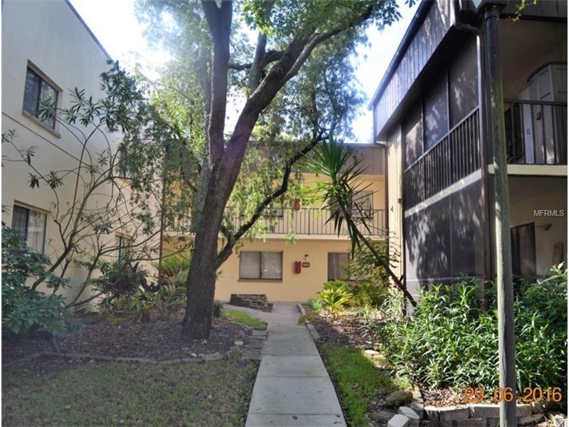 11803 RAINTREE LAKE LANE, Temple Terrace, FL 33617